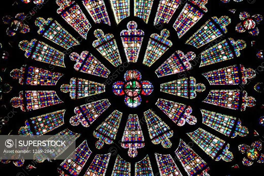 Low angle view of the ceiling of a basilica, Basilica of St. Nazaire and St. Celse, Carcassonne, Languedoc-Rousillon, France