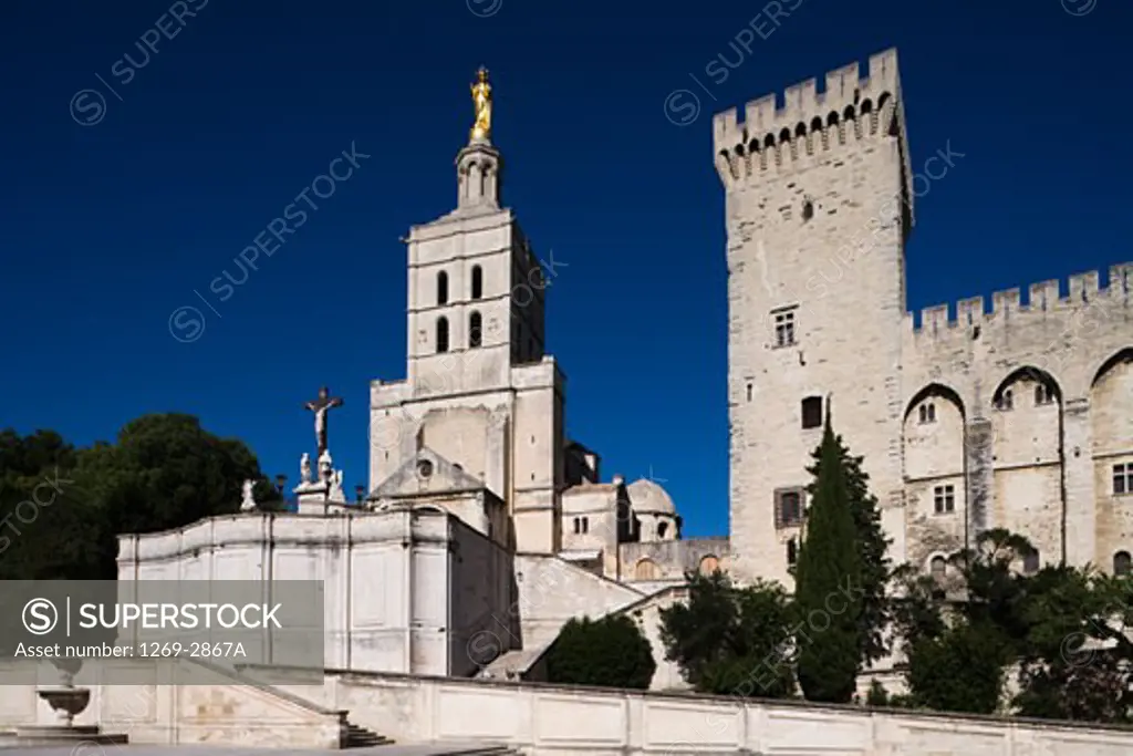 Cathedral along a palace, Palais Des Papes, Avignon Cathedral, Avignon, Vaucluse, France