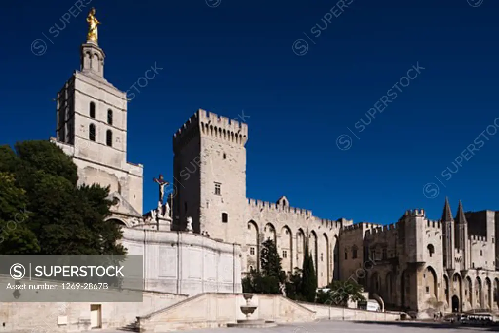 Cathedral along a palace, Palais Des Papes, Avignon Cathedral, Avignon, Vaucluse, France