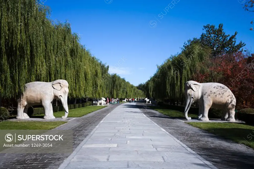 Elephants' statues in a cemetery, Sacred Way, Ming Tombs, Beijing, China