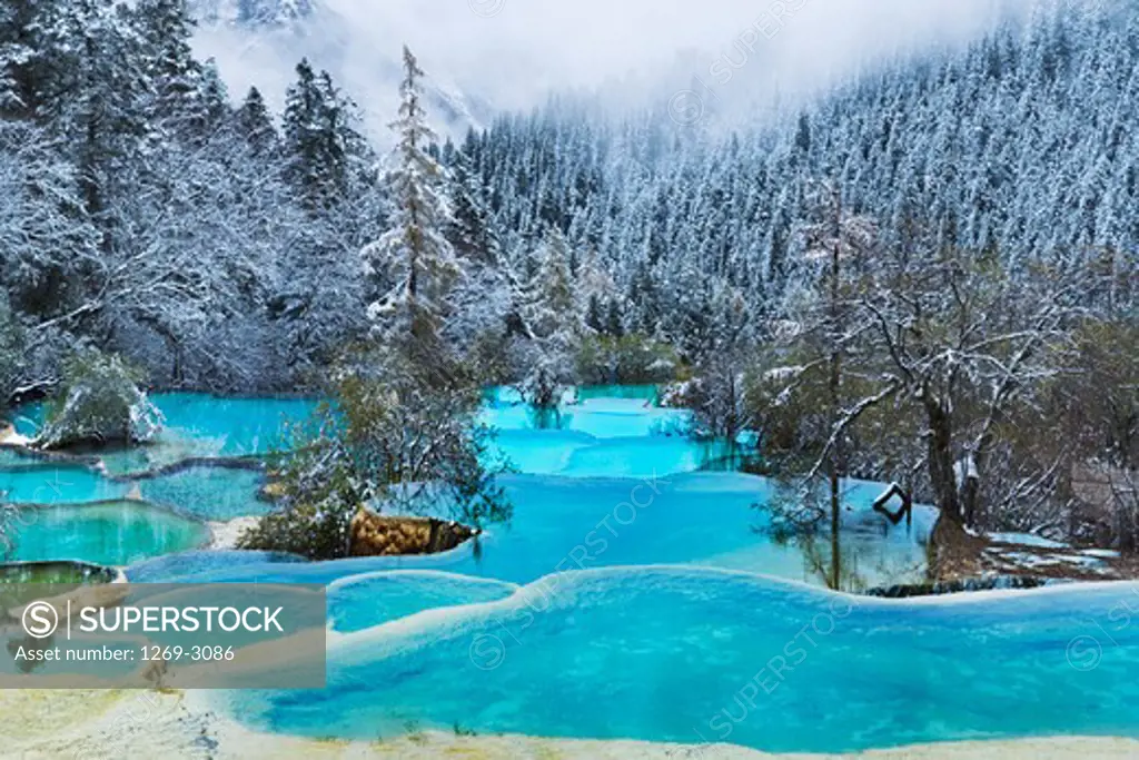 Frost covered trees along a stream, Zheng Yan, Huanglong, Sichuan Province, China