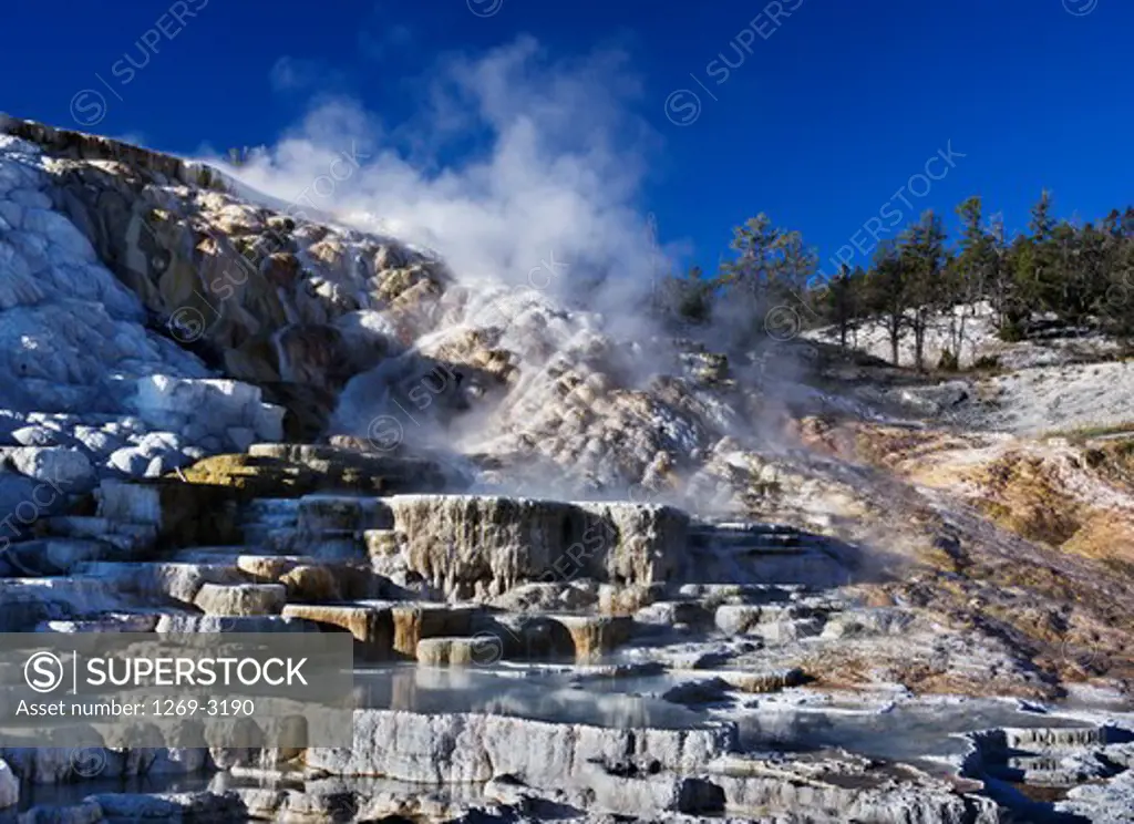 USA, Wyoming, Yellowstone National Park, Mammoth Hot Springs, Palette Spring, lower terrace