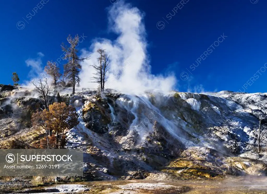 USA, Wyoming, Yellowstone National Park, Mammoth Hot Springs, Palette Spring, lower terrace