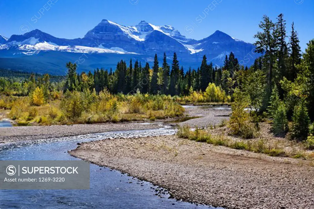 Creek flowing through a landscape with mountain range in the background, Waterton Lakes National Park, Alberta, Canada