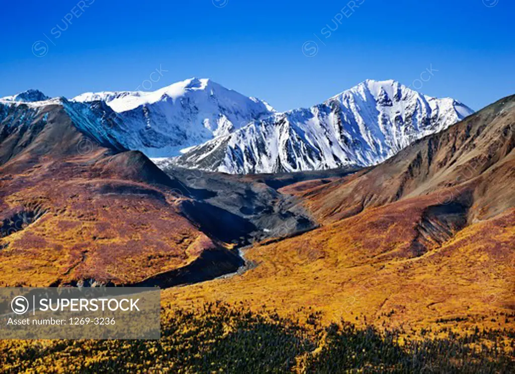 Landscape with mountains in the background, Kluane National Park, Yukon, Canada