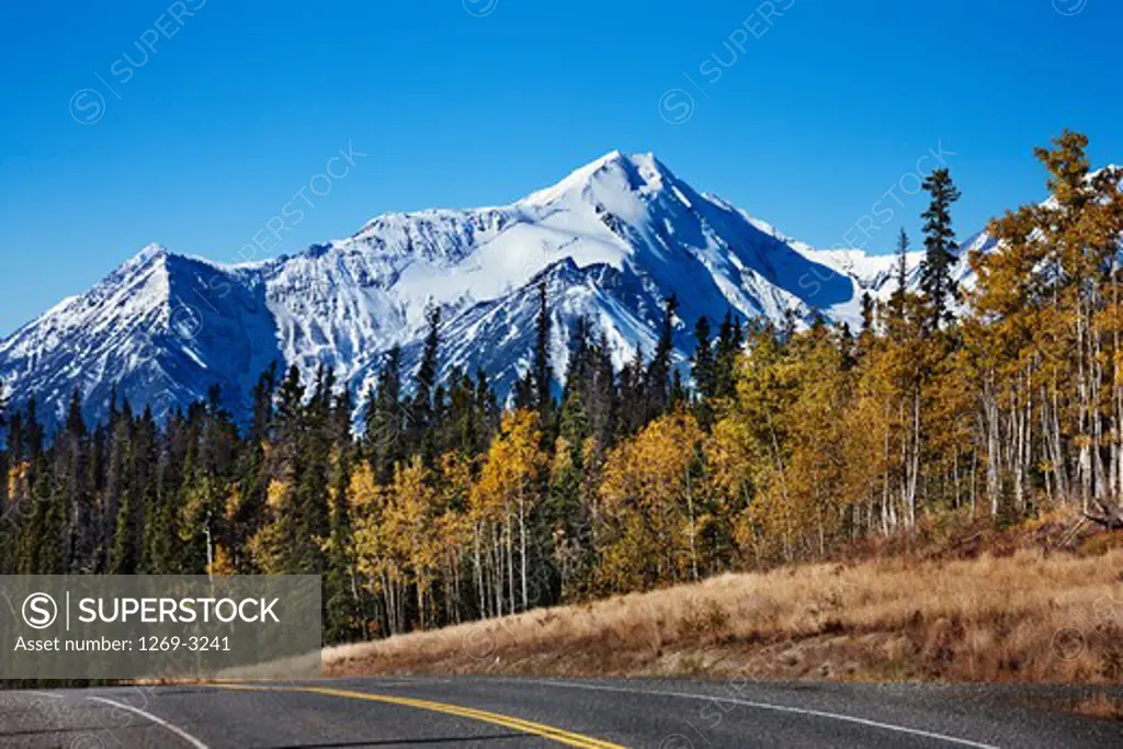 Highway passing through a forest, Alaska Highway, Canada
