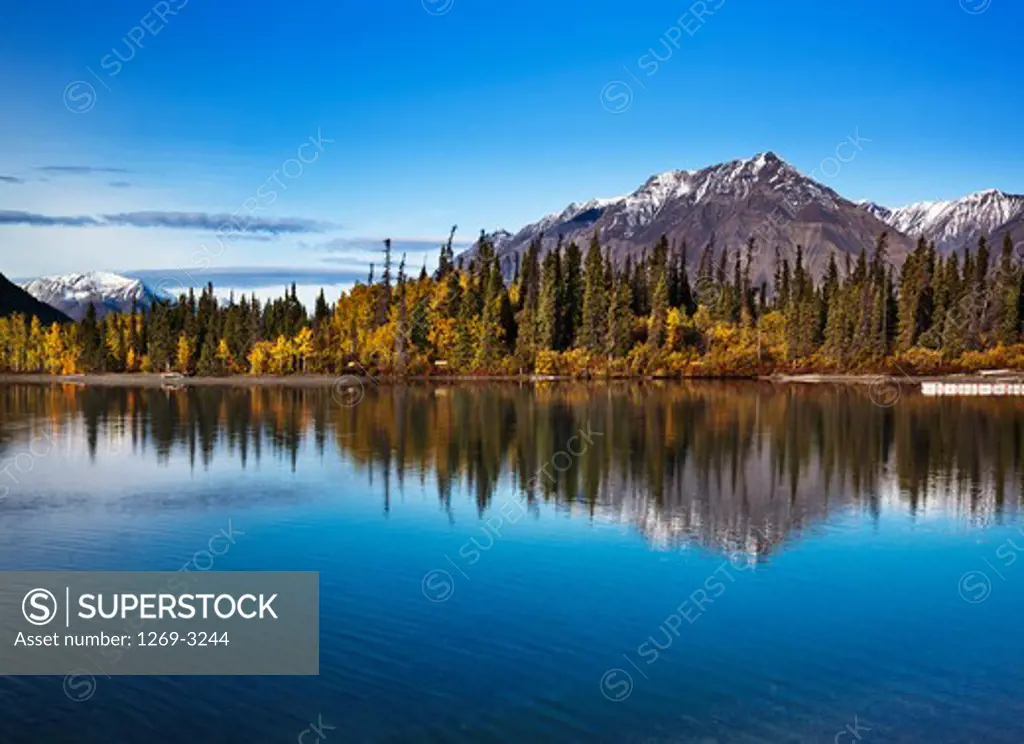 Reflection of trees in water, Kathleen Lake, Yukon, Canada
