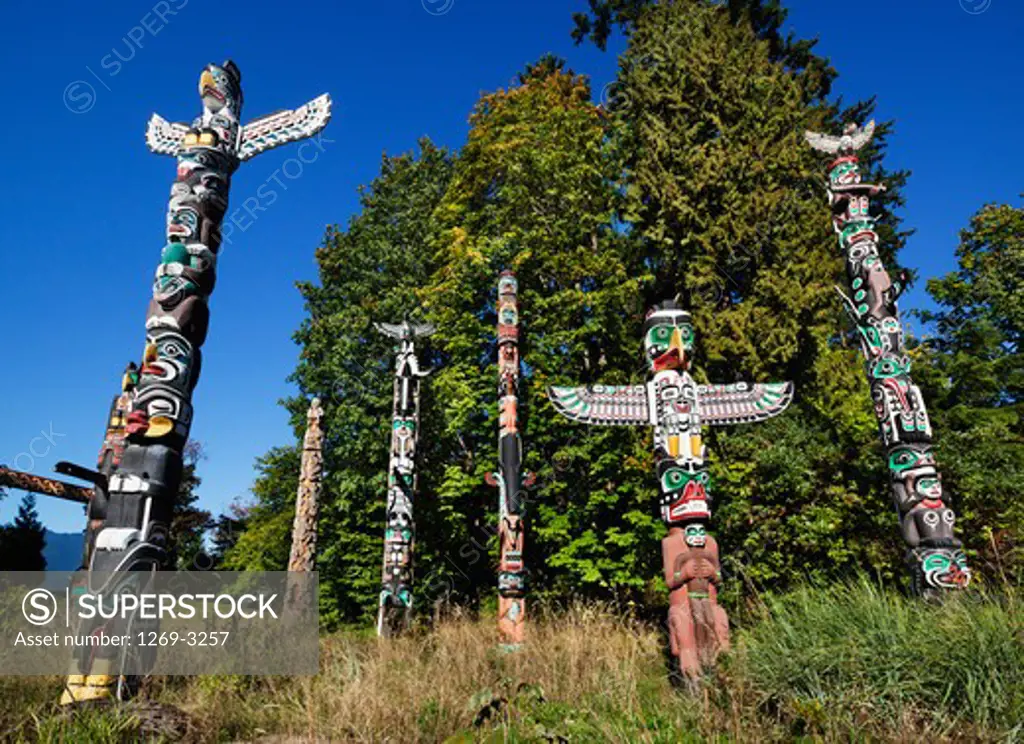 Low angle view of totem poles in a field, Stanley Park, British Columbia, Canada