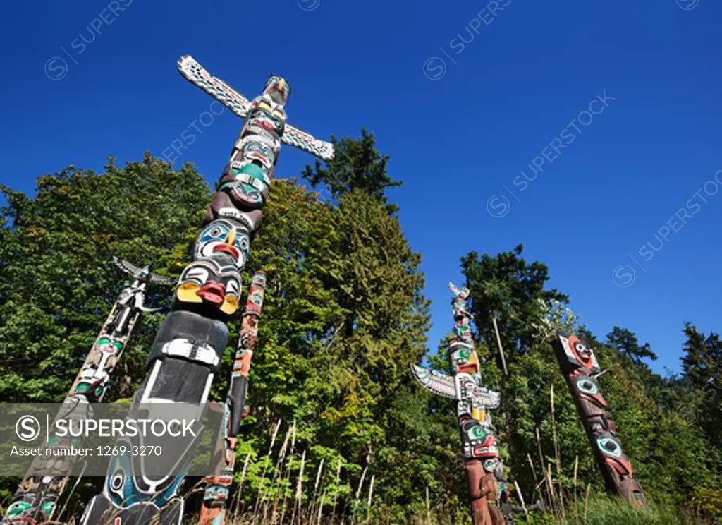 Low angle view of totem poles in a field, Stanley Park, British Columbia, Canada