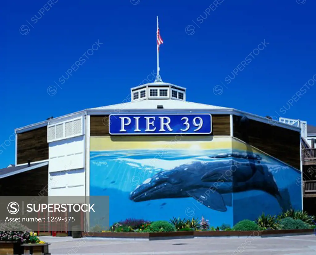 Pier 39, San Francisco, California, USA