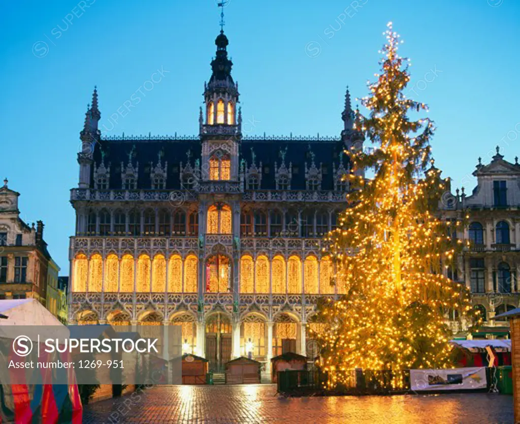 Christmas tree decorated with lights, Grand Place, Brussels, Belgium