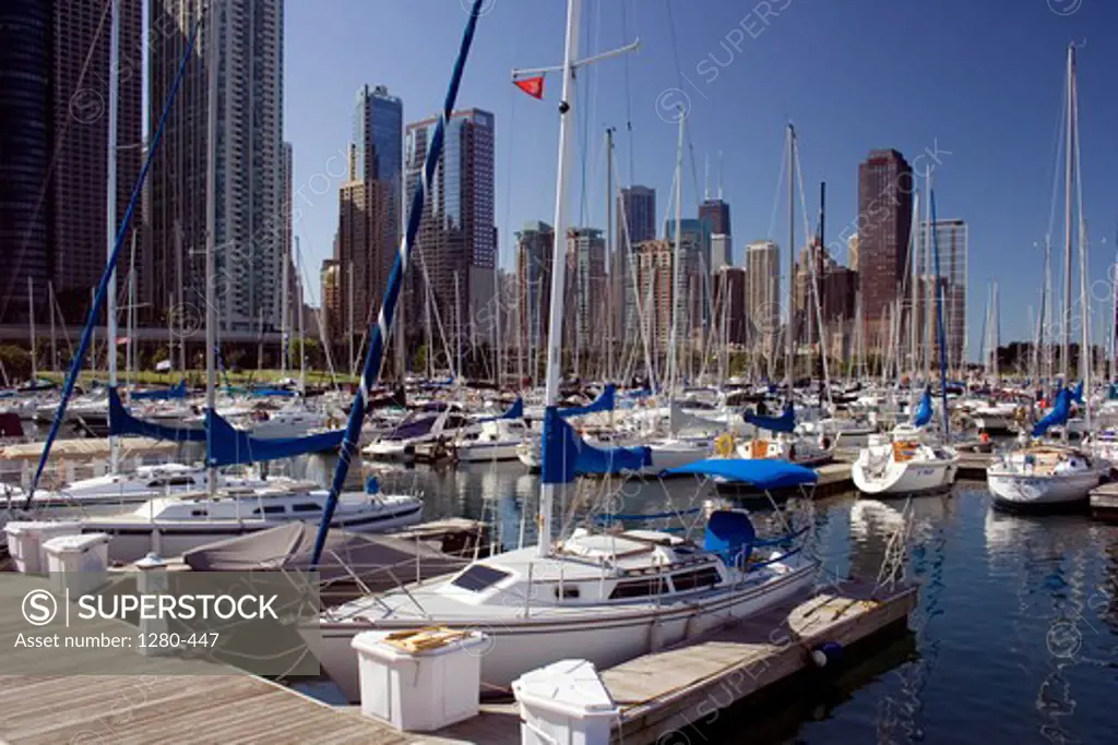 Sailboats at a harbor, Chicago Harbor, Chicago River, Chicago, Illinois, USA
