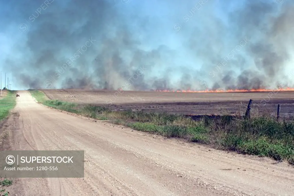 Dirt road with harvested wheat field set on fire to clear it of crop residue and weeds in preparation for planting next crop, Inman, Kansas, USA