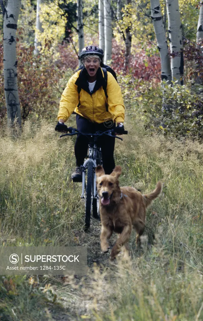 Mature woman riding mountain bike in forest and dog running in front of her
