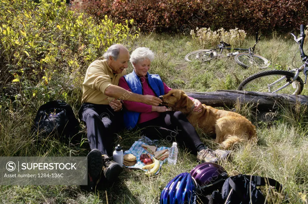 Senior couple sitting in the woods feeding a dog