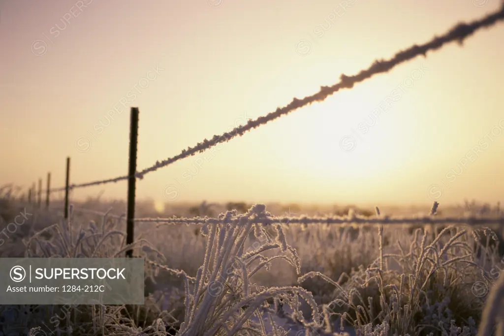 Wire fence on a field, Fairfield, Idaho, USA