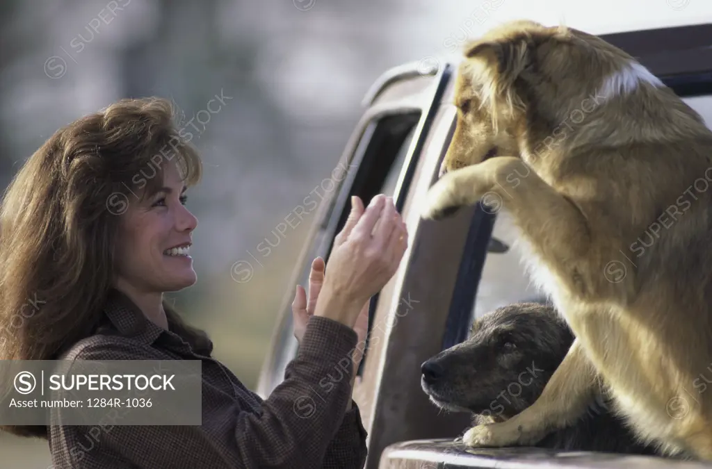 Woman with her dog at the back of a pick-up truck