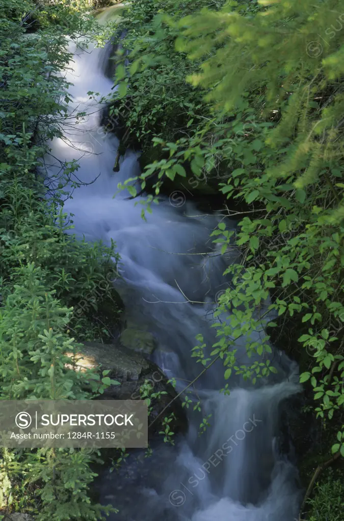 Slate Creek waterfall, Idaho, USA