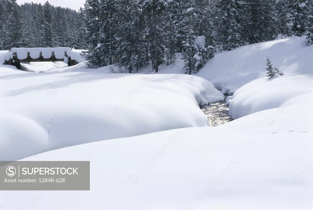 Snow covered landscape, Sun Valley, Idaho, USA