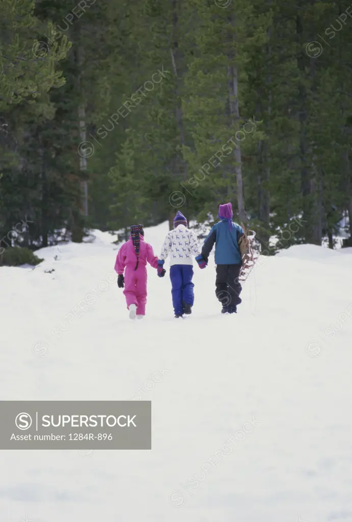 Rear view of two boys and a girl walking in snow