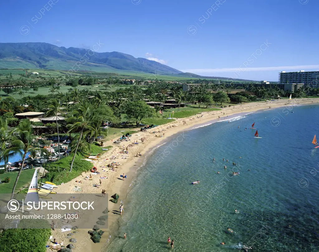 High angle view of a beach, Kaanapali Beach, Maui, Hawaii, USA
