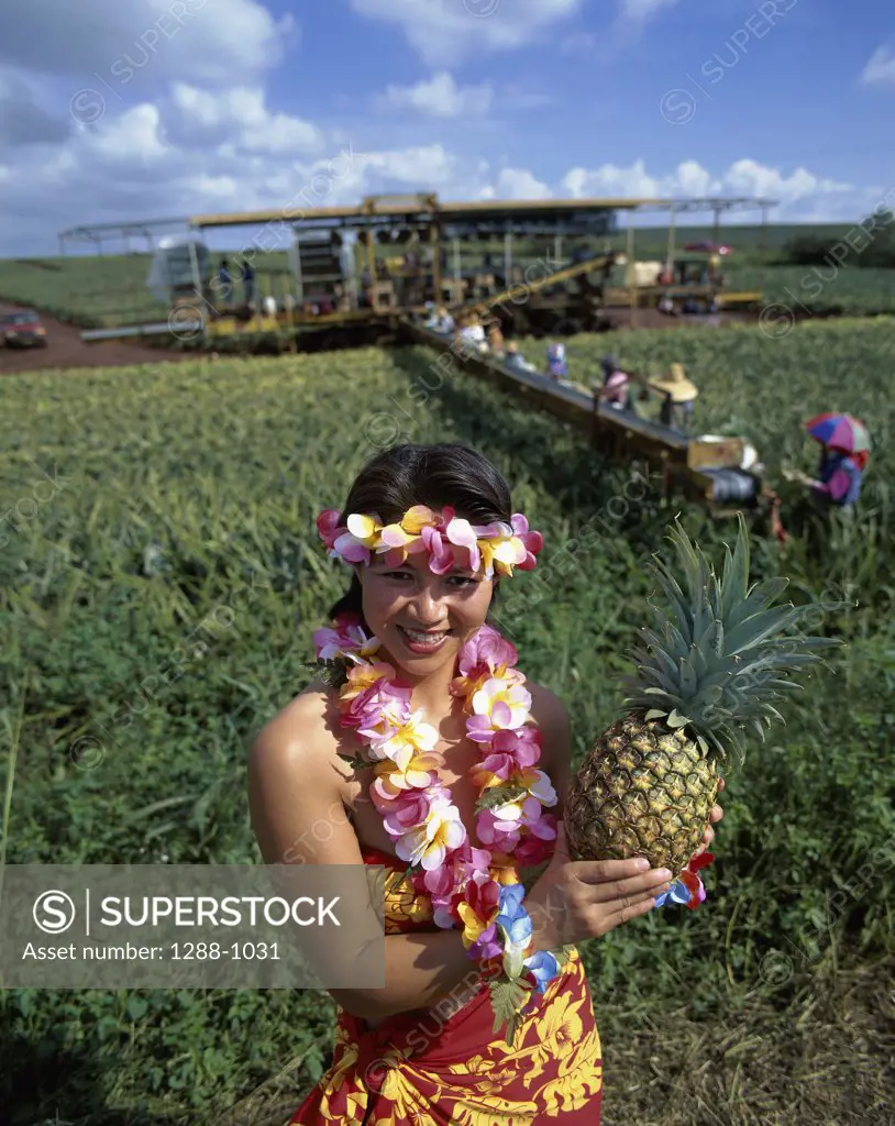 Woman holding a Pineapple at a Pineapple Plantation, Oahu, Hawaii, USA
