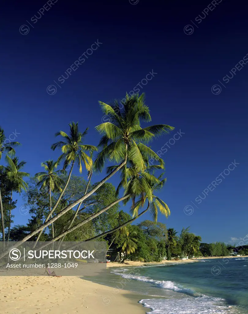 Woman sunbathing on the beach, Kings Beach, Barbados