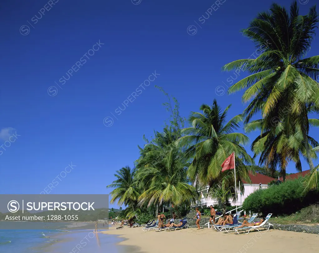 Group of people sunbathing on the beach, Reduit Beach, St. Lucia