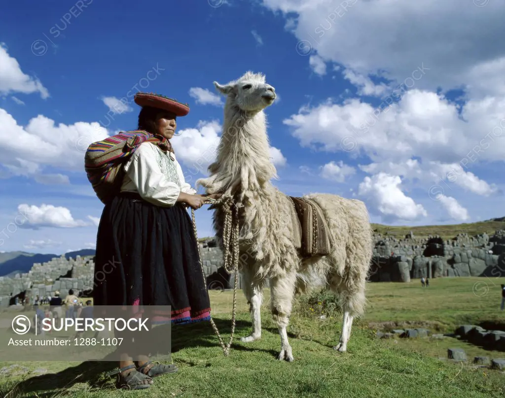 Low angle view of a Peruvian farmer with her llama, Sacsayhuaman (Incan), Peru