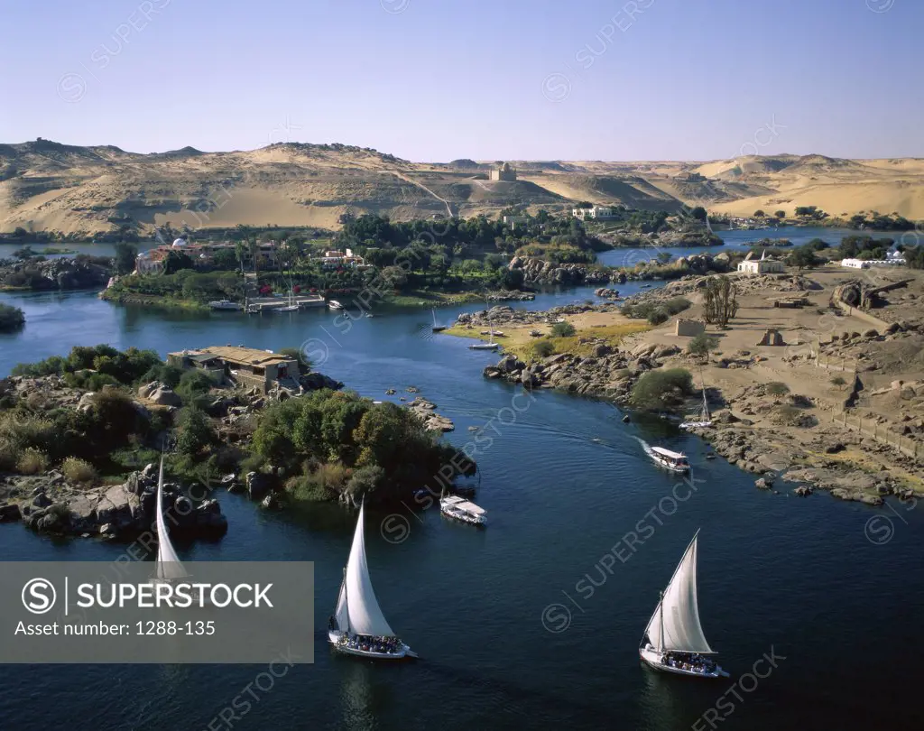 High angle view of sailboats in a river, Nile River, Aswan, Egypt