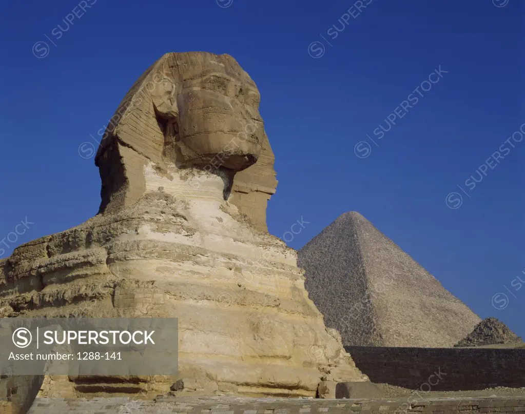 Low angle view of a statue, Great Sphinx, Giza, Egypt