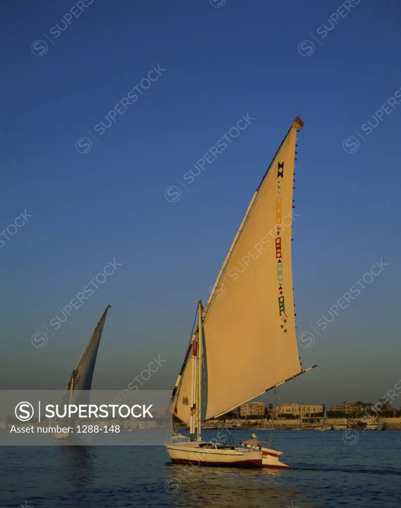 Sailboats sailing in a river, Nile River, Luxor, Egypt