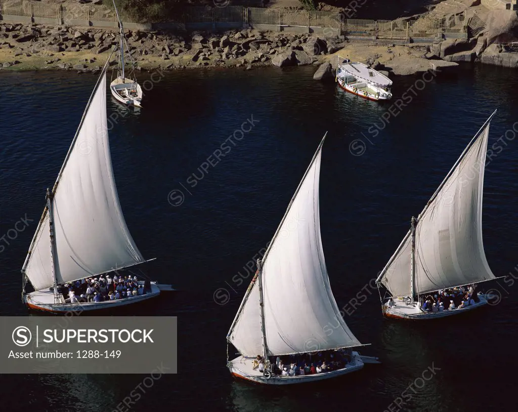 High angle view of sailboats in a river, Nile River, Aswan, Egypt