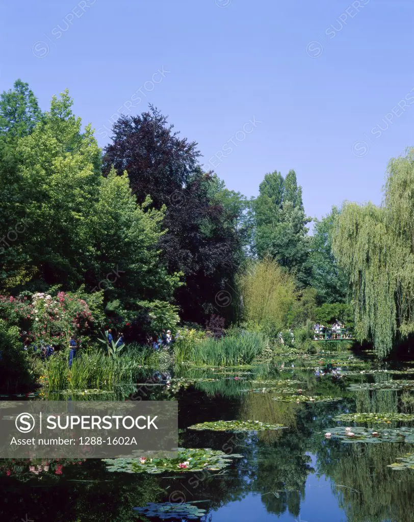 Reflection of trees in water, Monet's Garden, Giverny, France