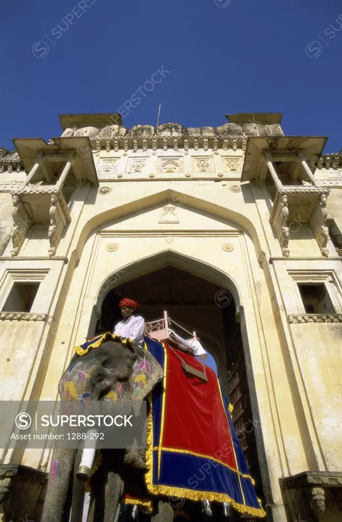Low angle view of a mid adult man riding on an Indian elephant, Amber Fort, Jaipur, Rajasthan, India