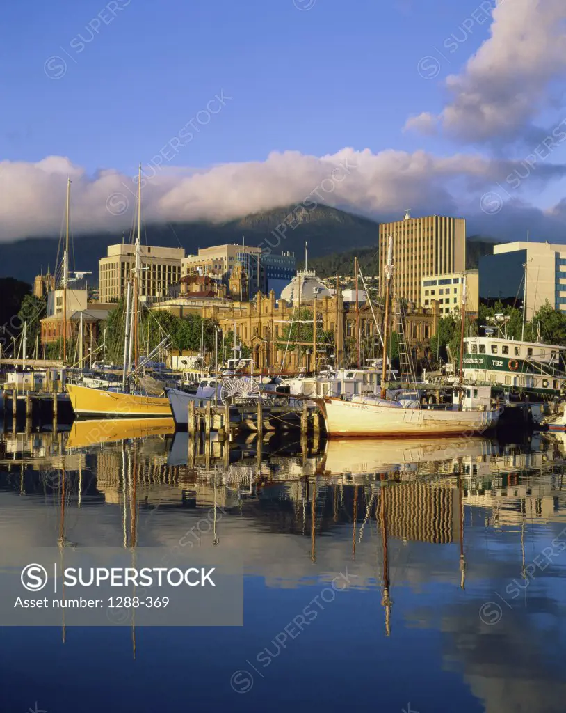 Boats moored at a dock, Hobart, Tasmania, Australia