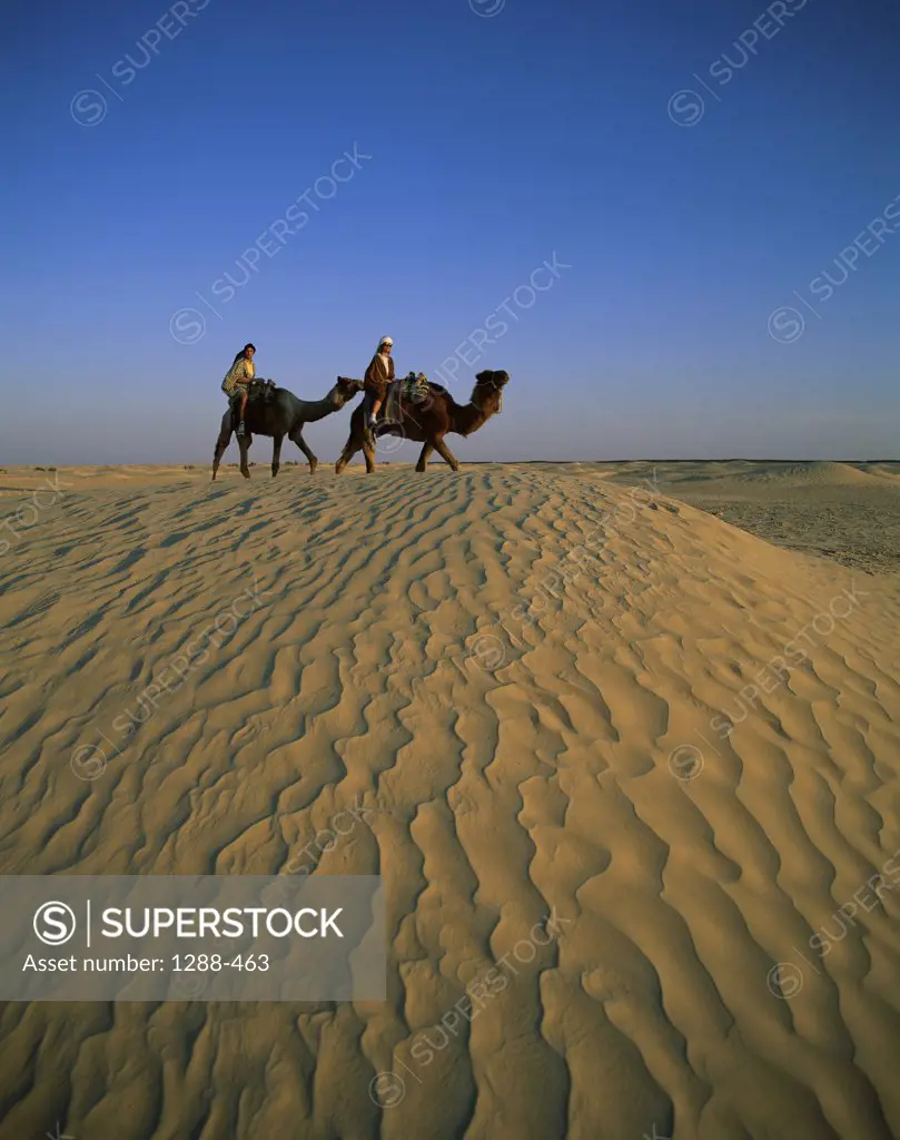 Low angle view of two people riding camels in a desert, Douz, Tunisia