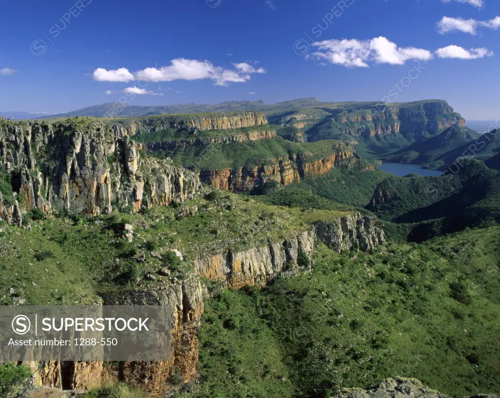 Dense plant growth on a mountain, Drakensberg Mountains, South Africa