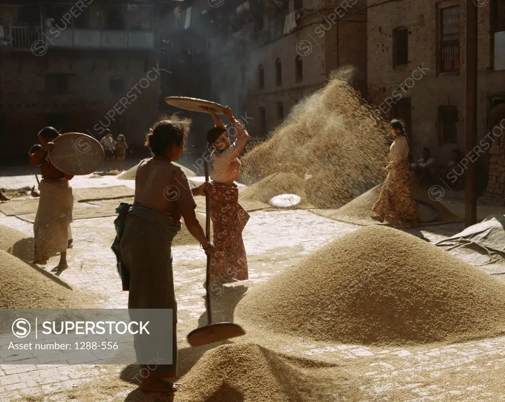 Four mid adult women cleaning food grain, Bhaktapur, Nepal