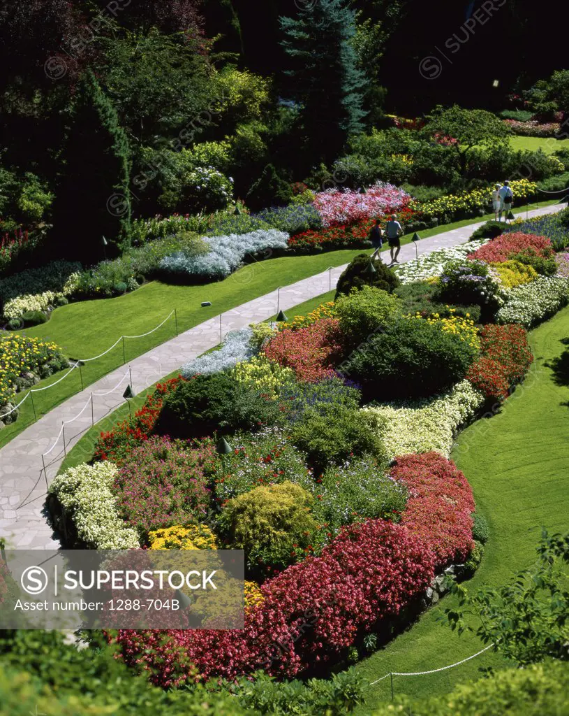 High angle view of flowers in a garden, Butchart Gardens, Victoria, British Columbia, Canada