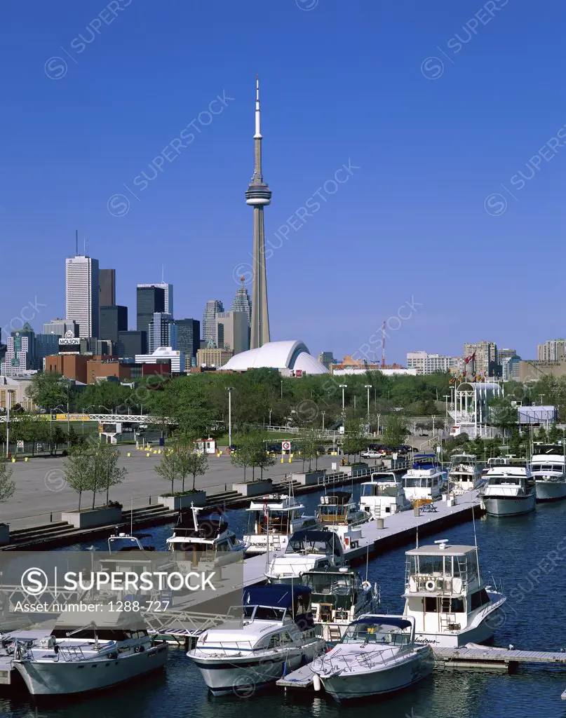 Boats docked at a dock, Toronto, Ontario, Canada