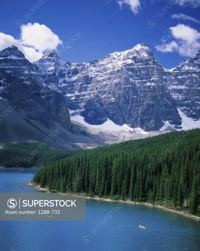 High angle view of a forest along a lake, Moraine Lake, Banff National Park, Alberta, Canada