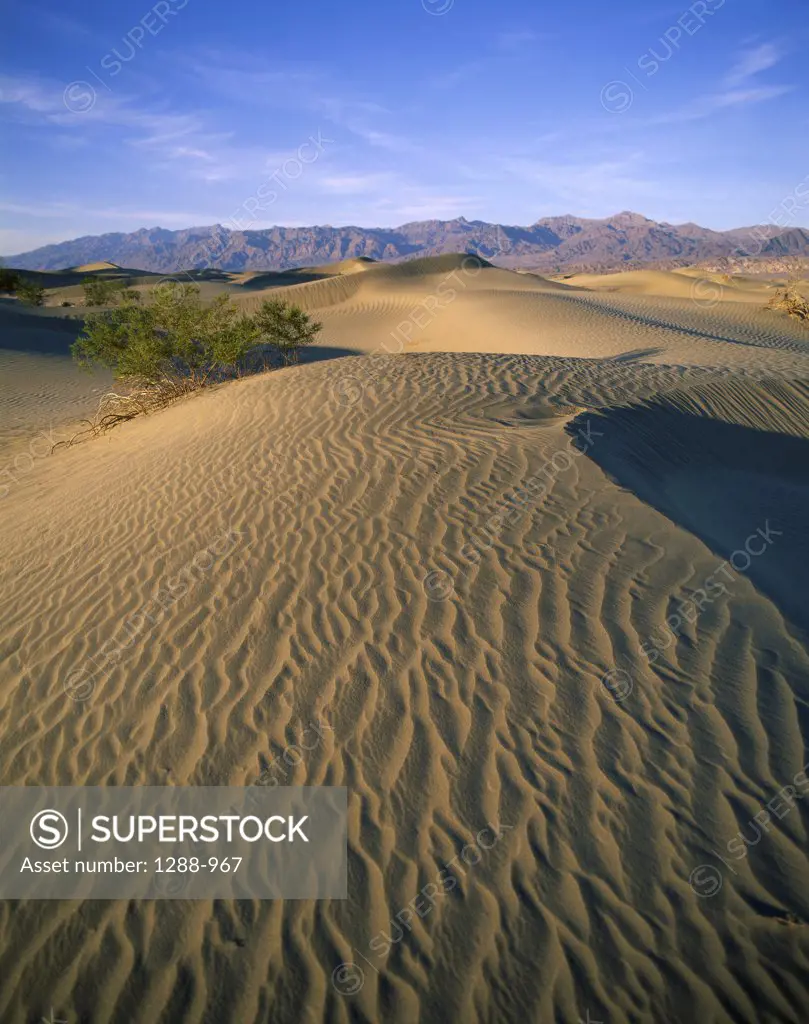 High angle view of sand dunes, Death Valley National Park, California, USA