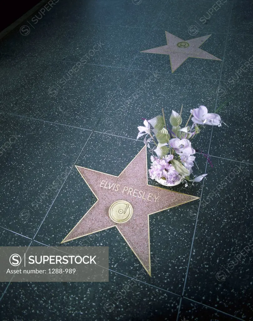 Flowers placed on Elvis Presley's star on the Walk of Fame, Hollywood, Los Angeles, California, USA