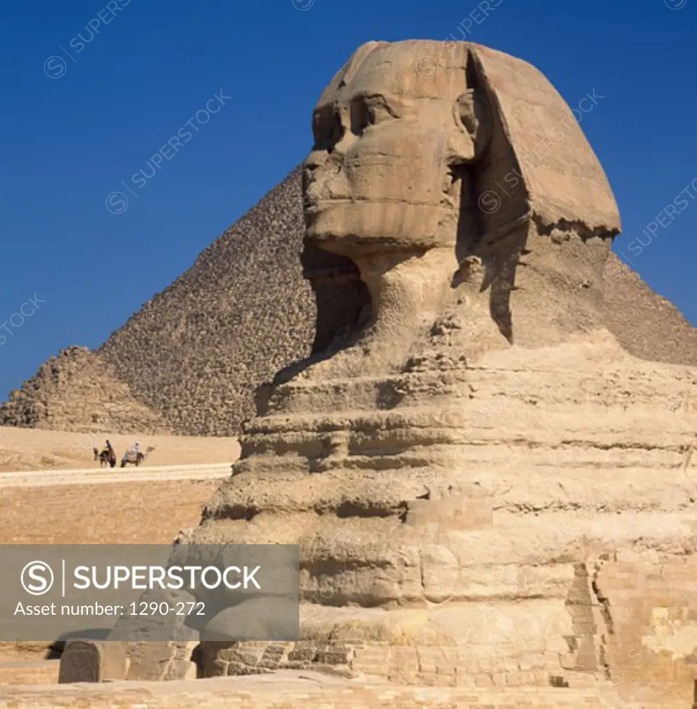 Low angle view of the Great Sphinx, Giza, Egypt
