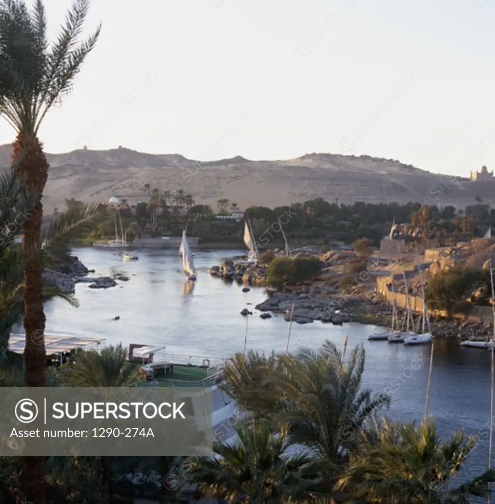 High angle view of feluccas in a river, Nile River, Aswan, Egypt