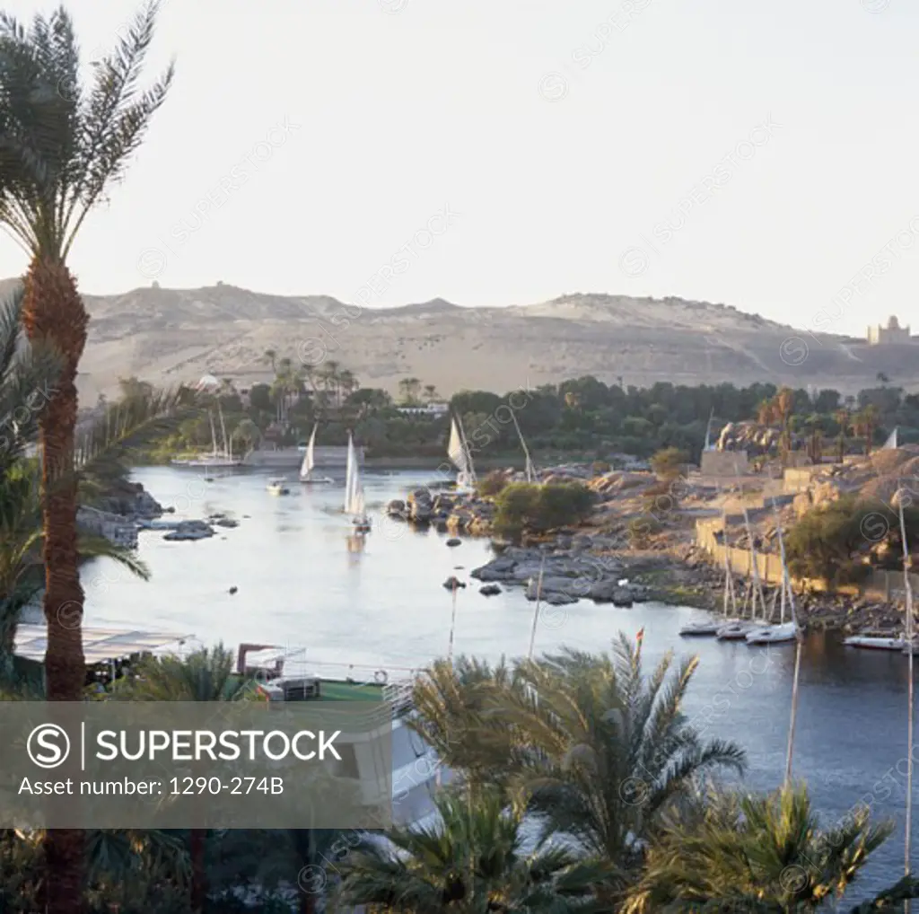 High angle view of feluccas in a river, Nile River, Aswan, Egypt
