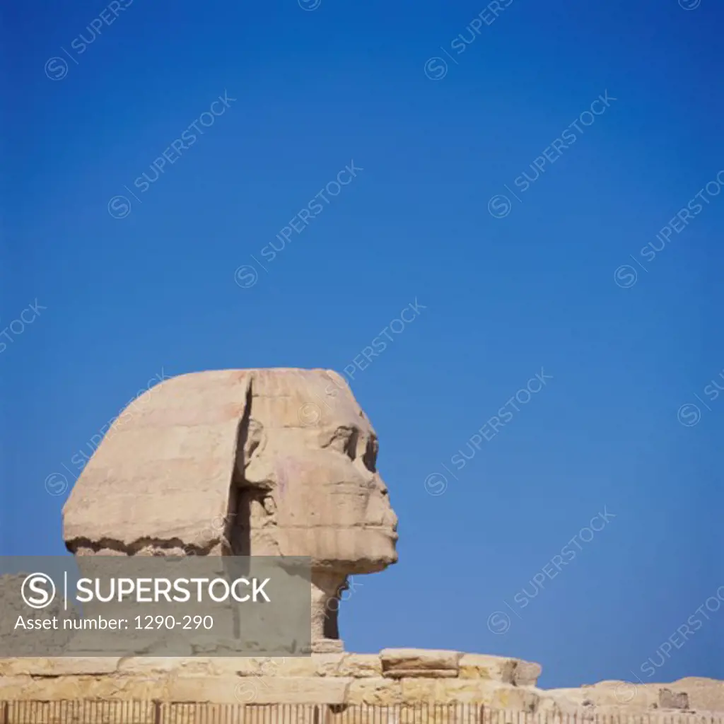 Side profile of a sphinx, Great Sphinx, Giza, Egypt