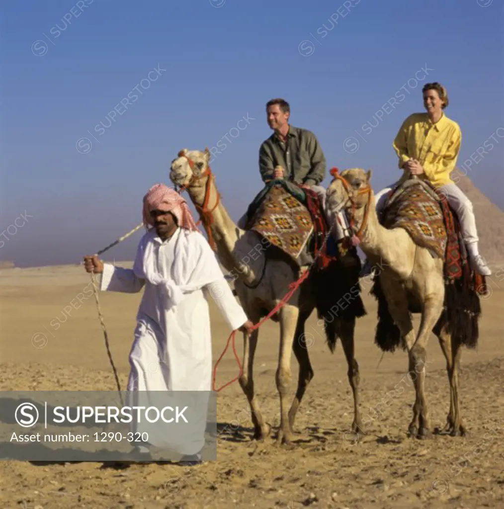 Young couple riding two camels leading by a Bedouin man, Giza, Egypt