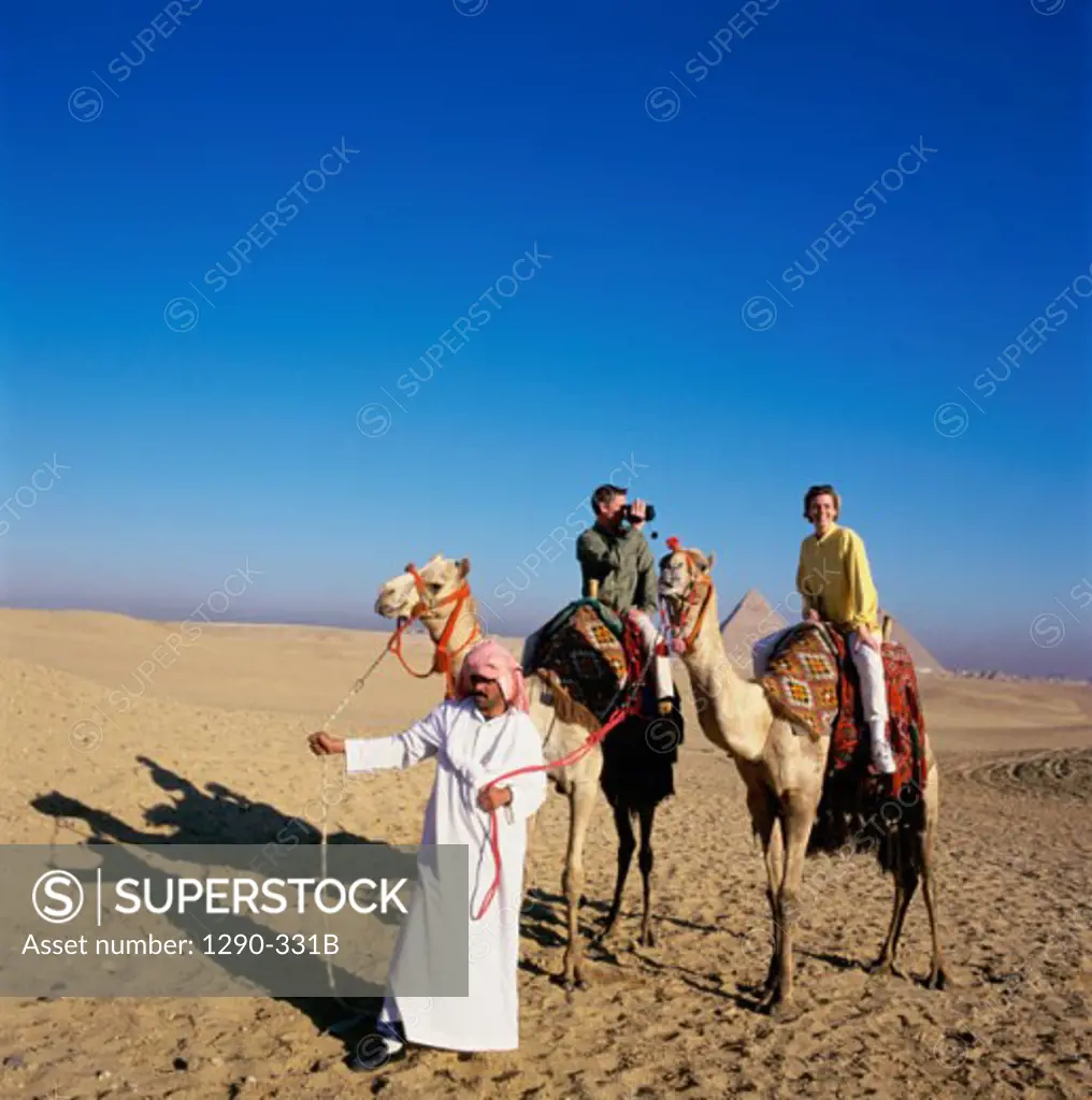 Young couple riding two camels lead by a Bedouin man, Giza, Egypt